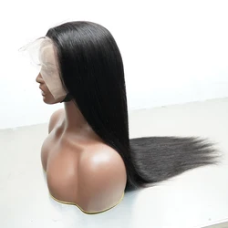 Raw Hair 13X4 Frontal Raw Cuticle Aligned Hair Glueless Wigs 4C Pre Plucked Vietnamese Raw Bone Straight Hair Wigs