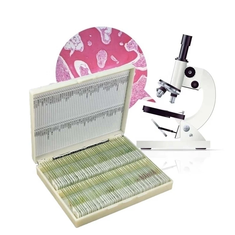 Factory Teaching Resources Educational Purpose Biology 100pcs Slices Human Histology Microscopy Specimen Preparation Slides