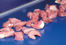 High Quality Food Anti bacterial conveyor belt Sanitary Blue PU belt conveyor