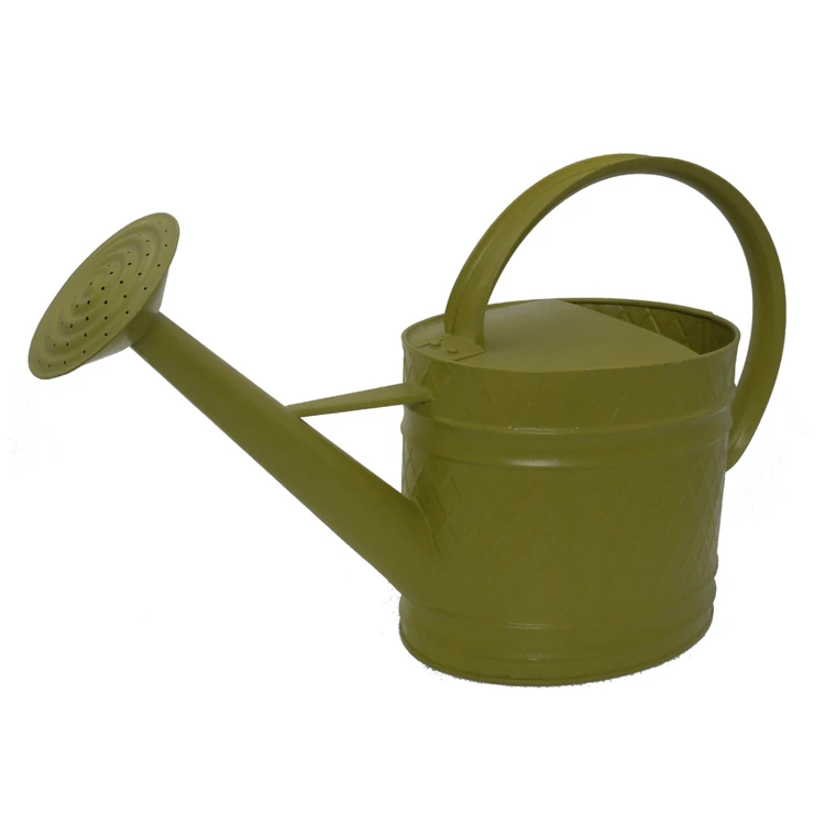 Modern Style Factory Price Promotional Wholesale Metal Garden Pots Watering Can for Outdoor Indoor House Plants