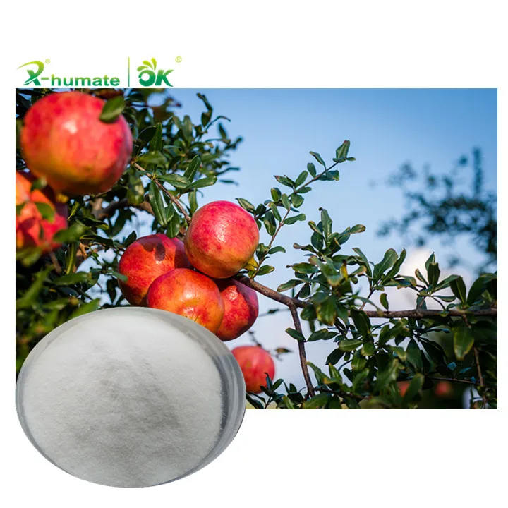 
 Х-ГУМАТ регулятор роста растений folcisteine PGR N-Acetyl-thiazolidine-4-carboxylic кислота  