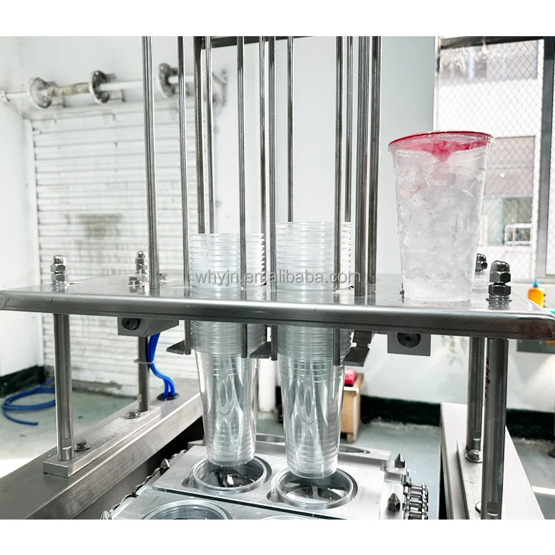 Yijianuo Automatic Ice Cube Packing Machine Cup Sealer Machine Ice Packing Machine