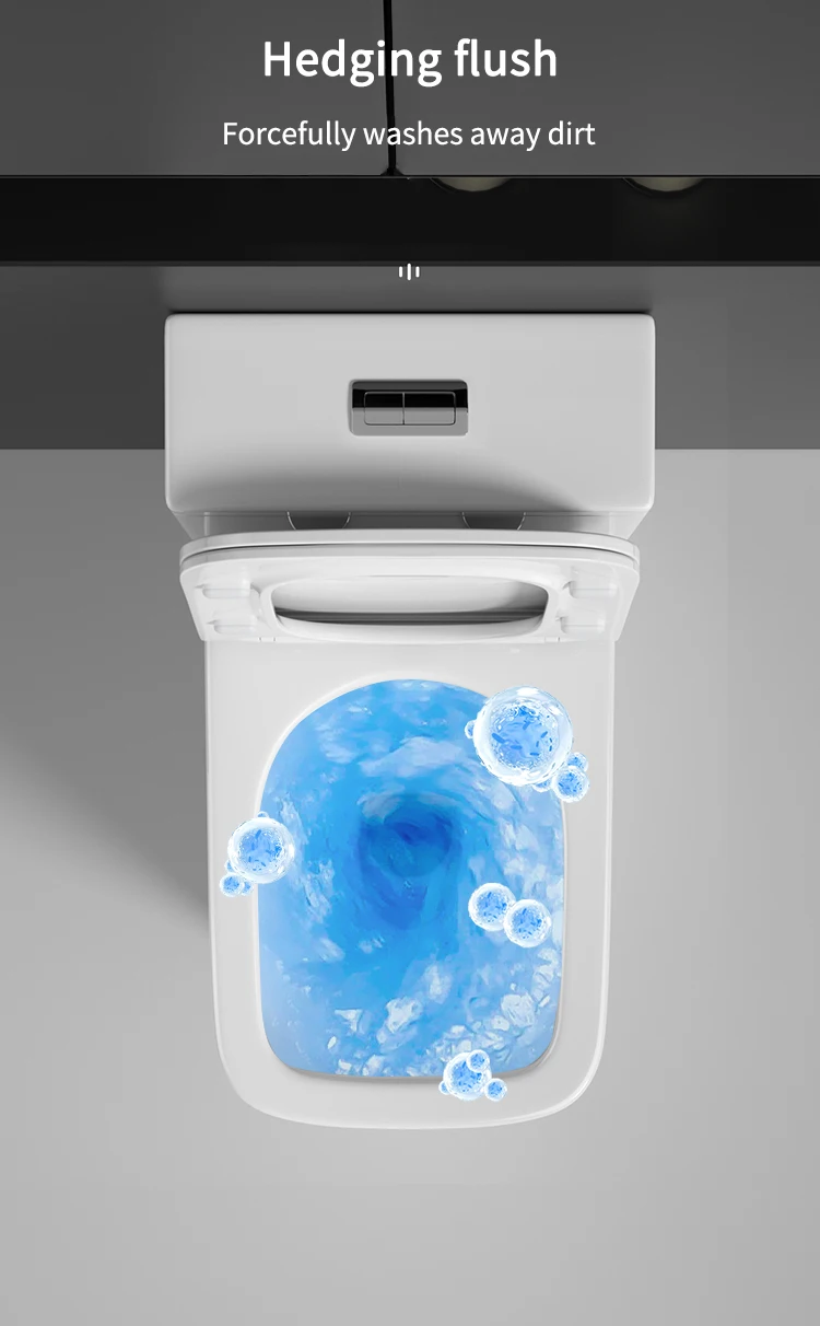 Hotel Project Modern Traditional WC  One Piece Toilet Bowl Ceramic Water Closet Bathroom Washdown Flushing Toilet