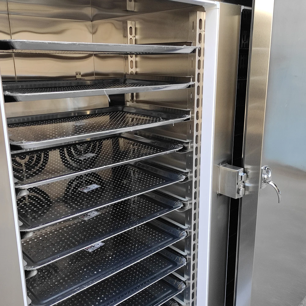 Automatic Fast Freezing Chicken Equipment IQF Mango Machine Blast Frozen Chiller Shock Quick Freezer