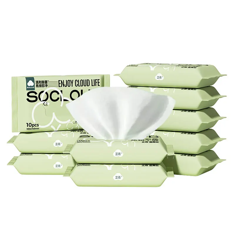 Natural ECO Renewable Organic Biodegradable Flushable Bamboo Wet Wipes
