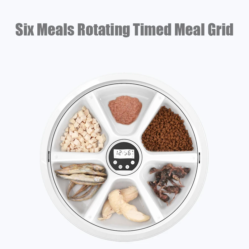 Newest Arrival Customized Intelligent Automatic Pet Feeder Timed Feeder Quantitative Wet & Dry Food Dispenser