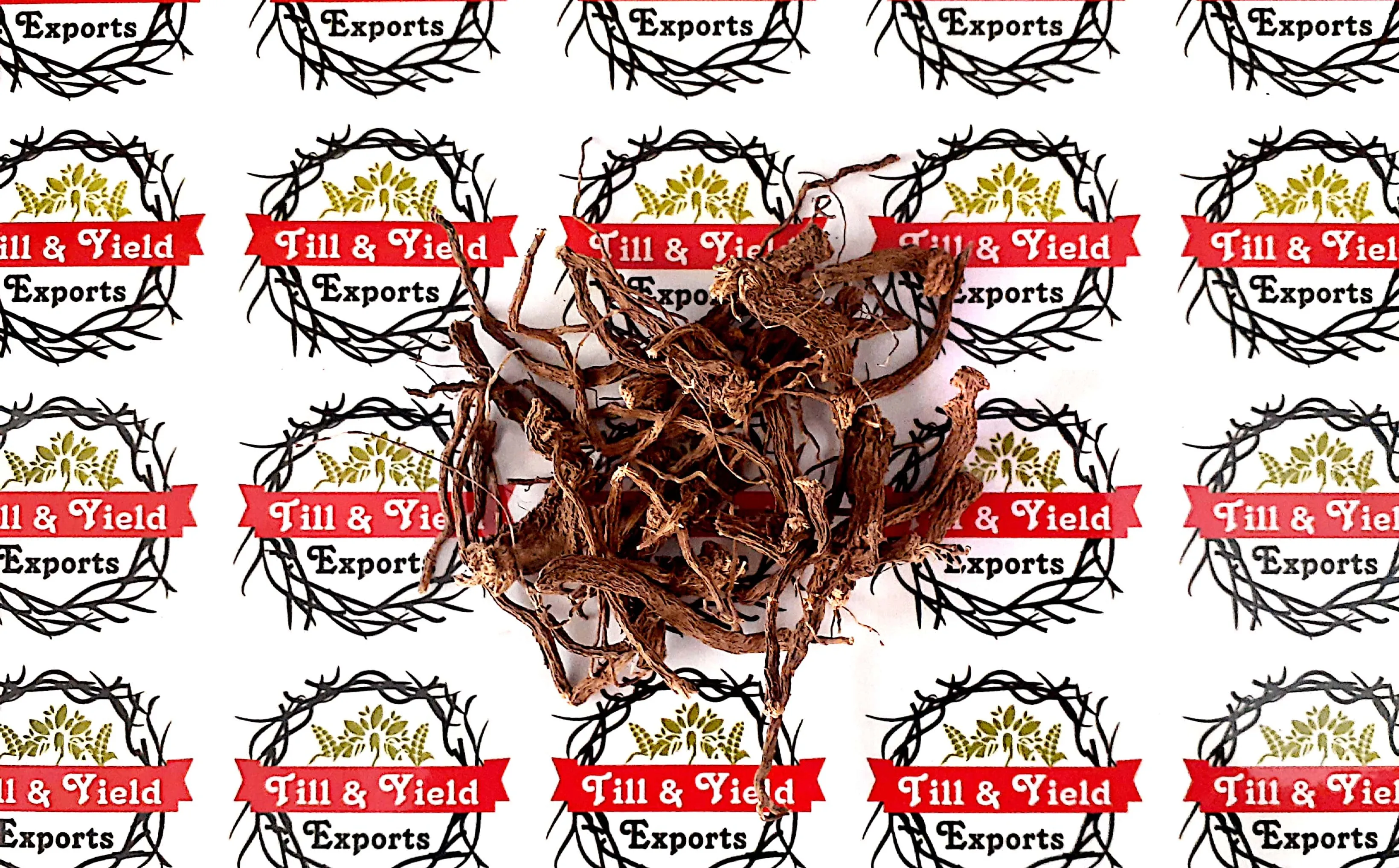 
Dry Coleus Roots - Coleus forskohli 