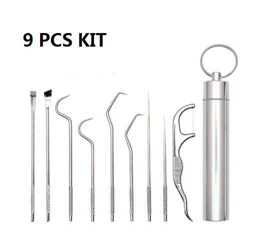 Portable dental care stainless easy take away steel toothpick