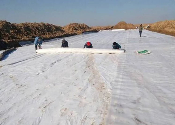 100gsm High Strength PP Needle Punched Nonwoven Geotextile White Black Polyester Short Fiber Needle Punched Geotextile