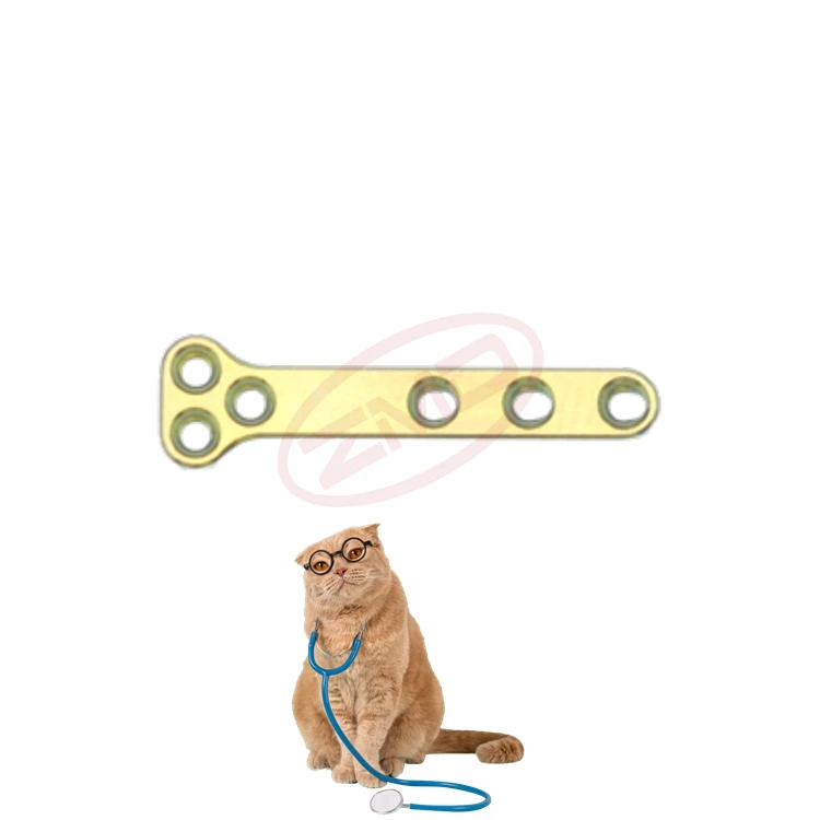 ZMD Orthopedic Surgical Instruments Competitive Price Veterinary B Series Trauma Implants Bone T Type Plate