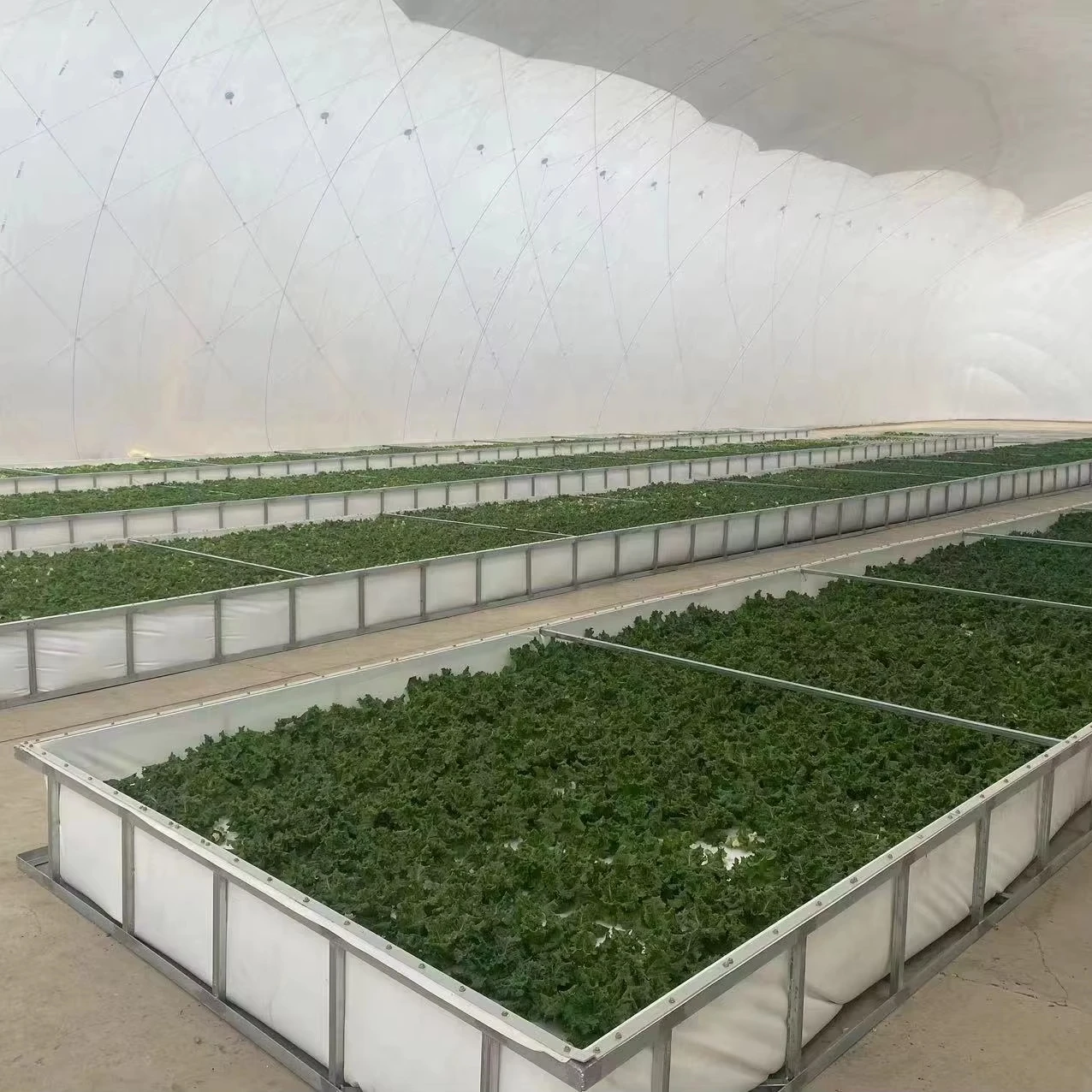 Hot sale air infalted membrane plastic membrane multi-span agricultural greenhouse Automatic control Remote control  Air dome