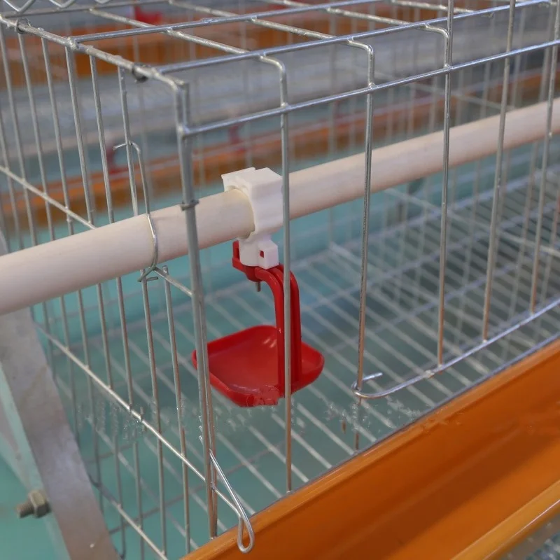 best sales A type 5 cells chicken cage for 160 layers in Uganda