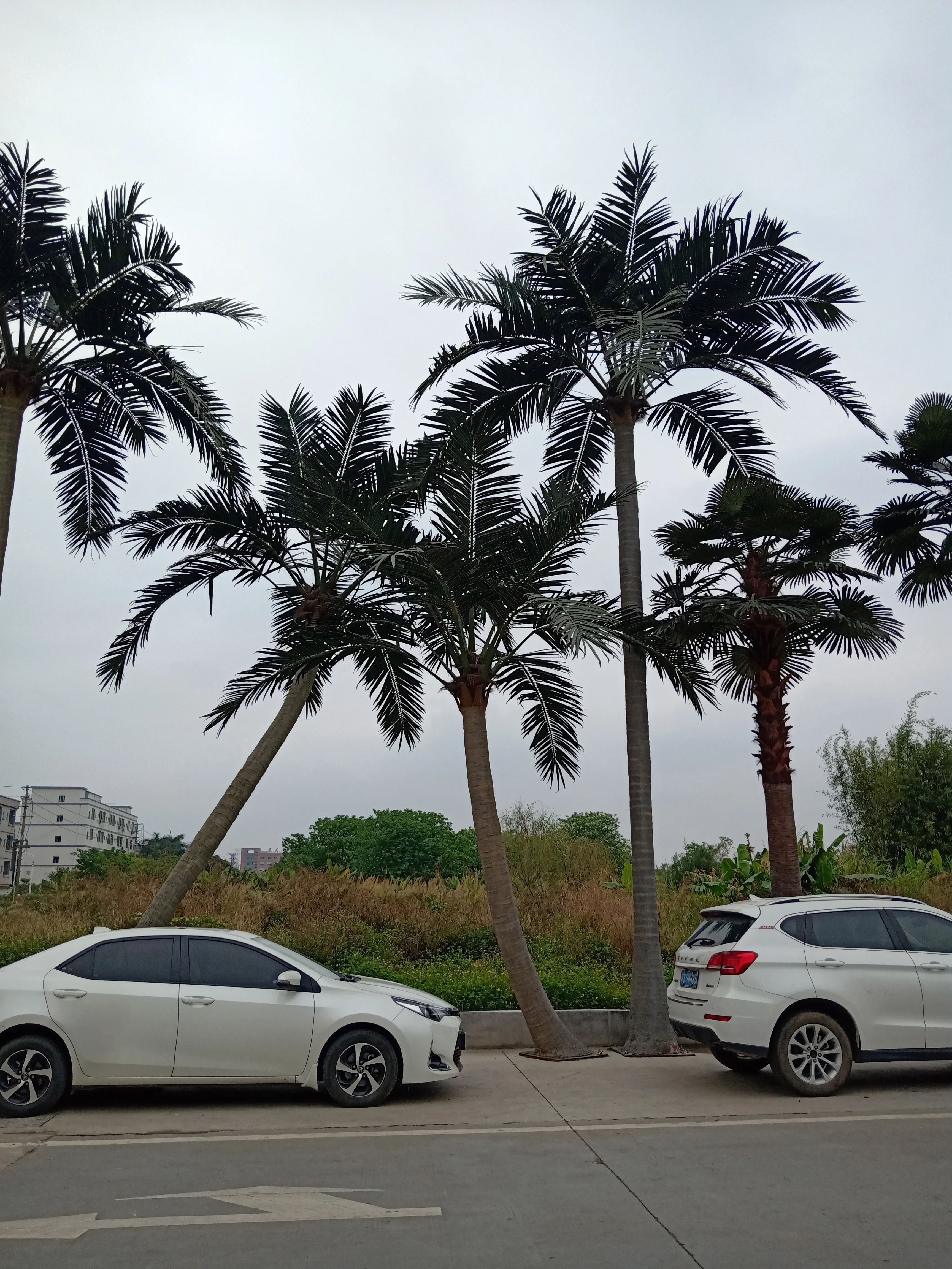 Factory Customized High Simulation Large Fake Plant Handmade Tropical Artificial New Style Hawaii Coconut Palm Tree For Outdoor