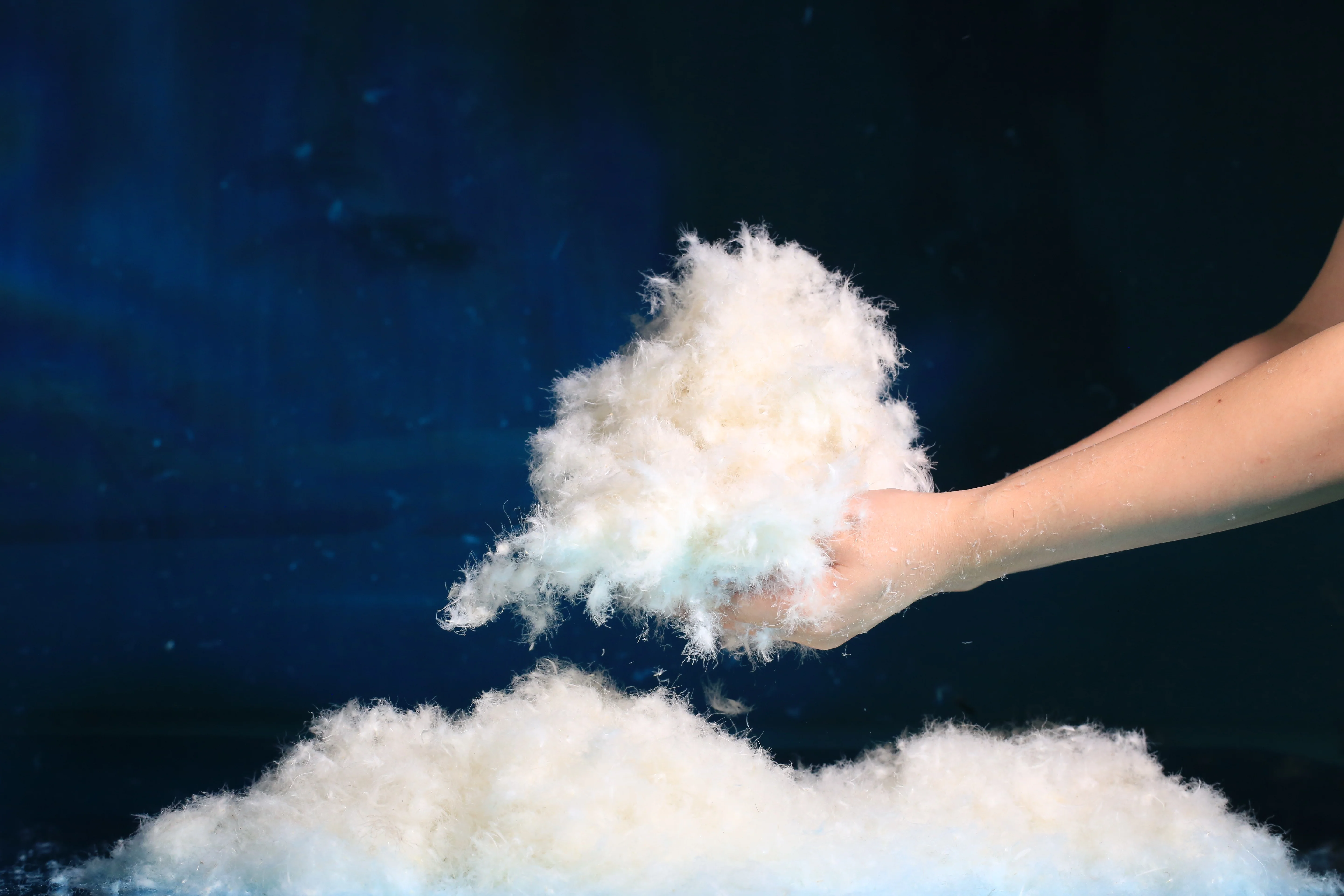 
70% Good Quality Down Coat Down Jacket Filling Material Washed White Duck Down 