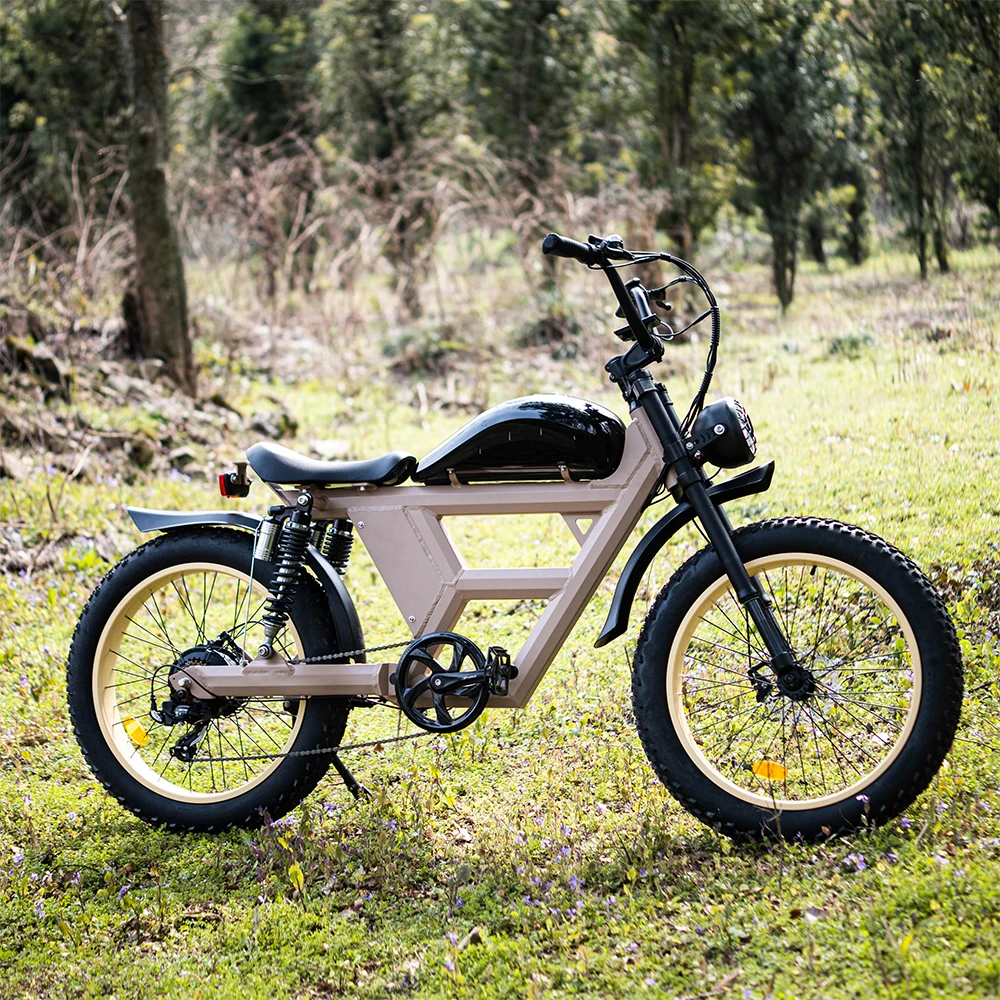 Long tail Cargo Bike Rear Hub Motor Mini Bike Electric Fat Tire Folding Electric Bike