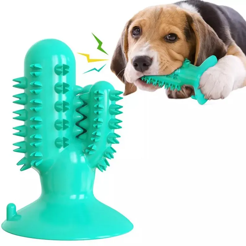 Manufacturer Wholesale Cactus Shaped Pet Bone Cleaning Dog Cat Toothbrush Chew Toy