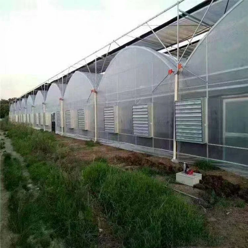 Multi-span film greenhouse solar transparent plastic vegetable landscape agricultural project