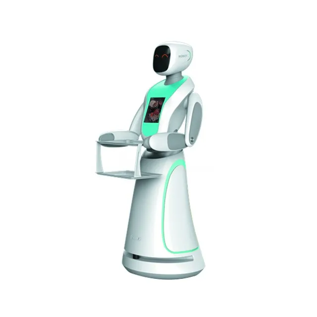 Artificial  Za Raigras Nettoyage Robotica Escala Parede Mobile Retail Shopping Assistant Robot Healthcare Robot