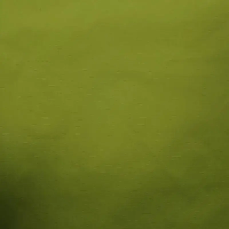 Waterproof 3000mm PU Silicone Coated 15D Recycled Nylon Ripstop Woven Fabric for Outdoor Jacket