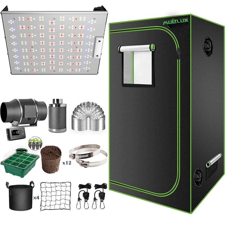 Wholesale Plant  Commercial Cultivation Hydroponic Indoor System 150 6x6 Grow Tent