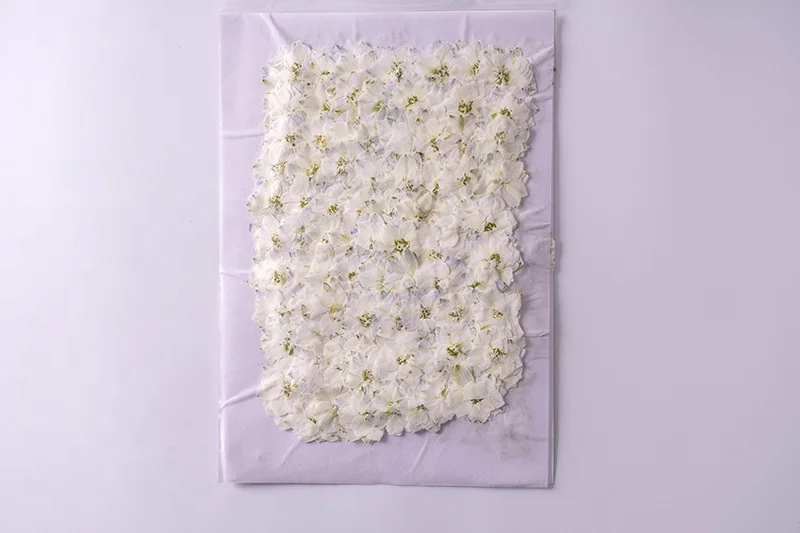 1000pcs/bag Larkspur Pressed Flower For Resin Epoxy Art Candle Making Wedding Frame