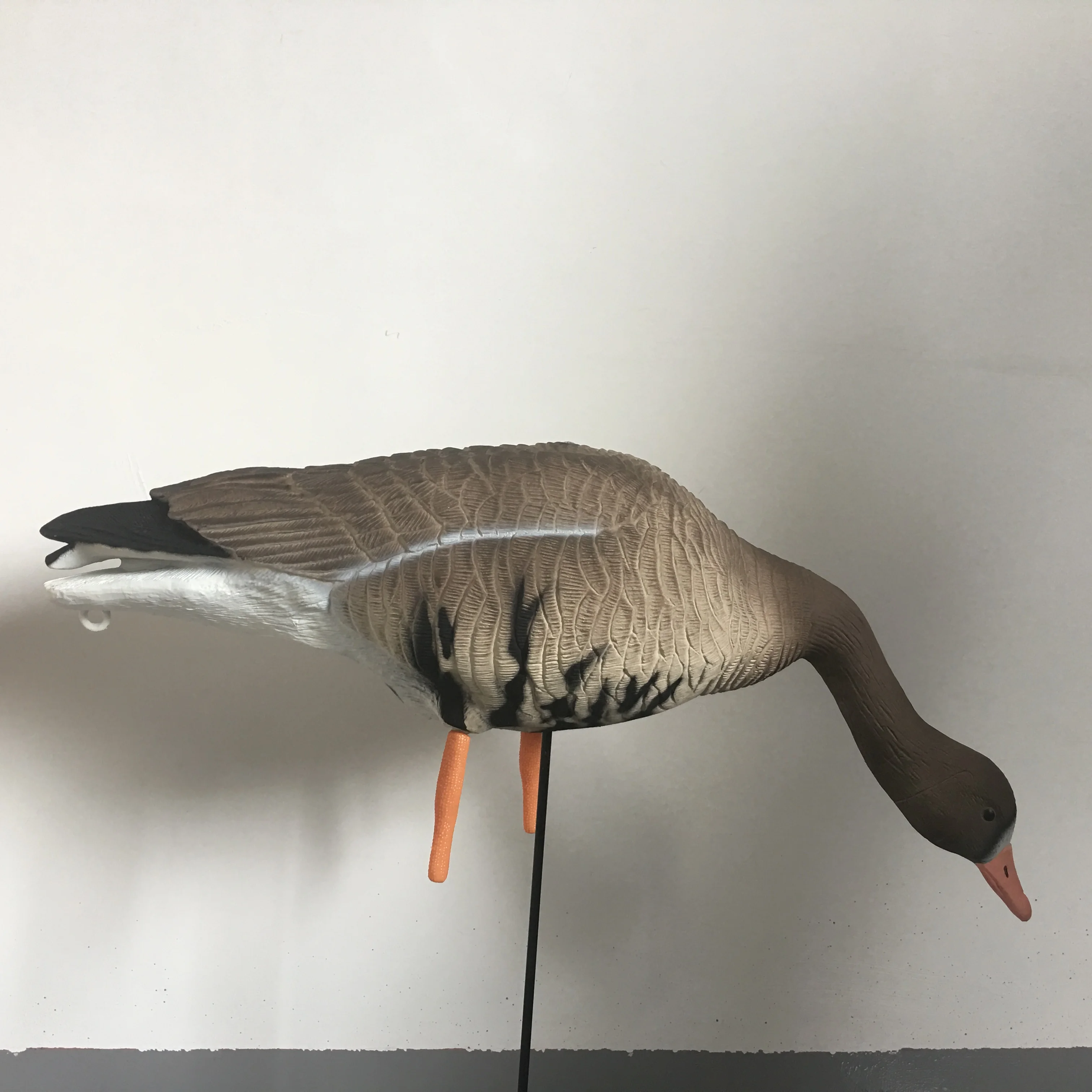 
Different Postures of Specked belly Goose Decoys/Baits for Hunting 