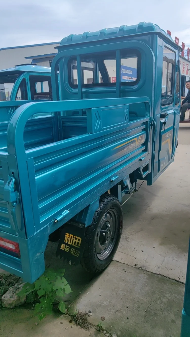 Новый трехколесный грузовой Электрический мотоцикл 800 Вт MS150