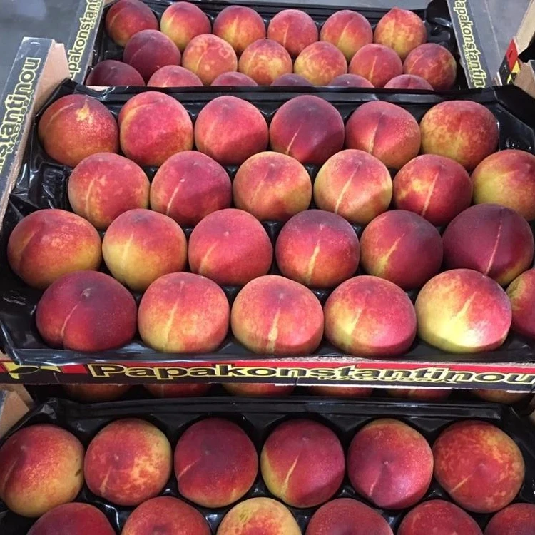 Оптовая продажа, греческое происхождение, 100% натуральный свежий розовый персик для экспорта по лучшей цене