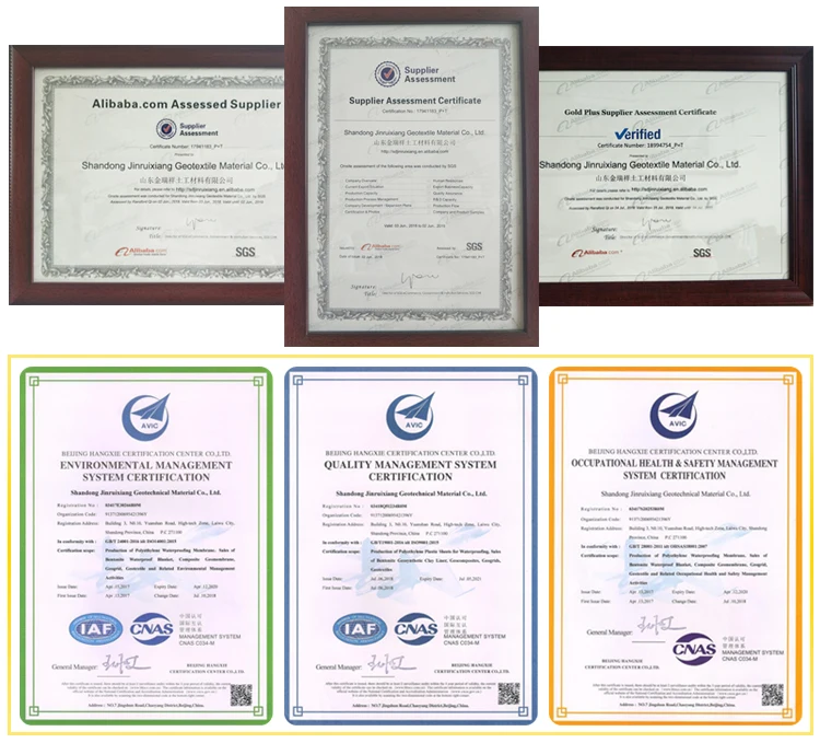 certificate.jpg