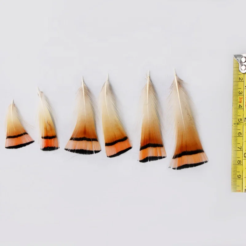 1.6-3.2 Inch(4-8 cm)Wholesale High Quality Natural Color Golden Pheasant Head Feather orange small feathers