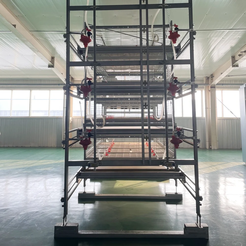 Broiler Poultry Farming Equipment Multitier H Type Automatic Harvesting System Battery Broiler Chicken Cage For Raising Broilers