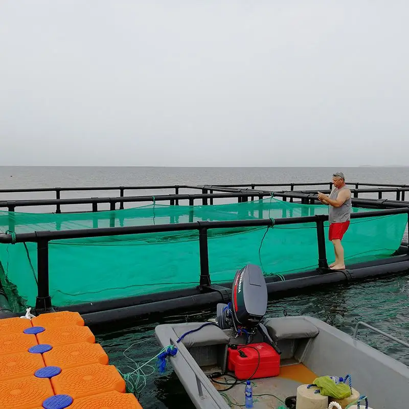 PE Plastic Offshore Fish Square Cage Ocean Farming Net Square Cage for Sea Aquaculture
