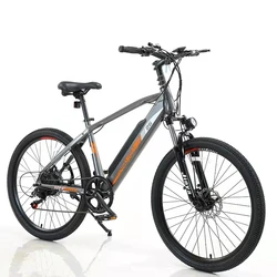 Chinese Factory Directly Selling 10AH Battery Riding Bicycles Mountain Road City Cheap Electric Dirt Bike