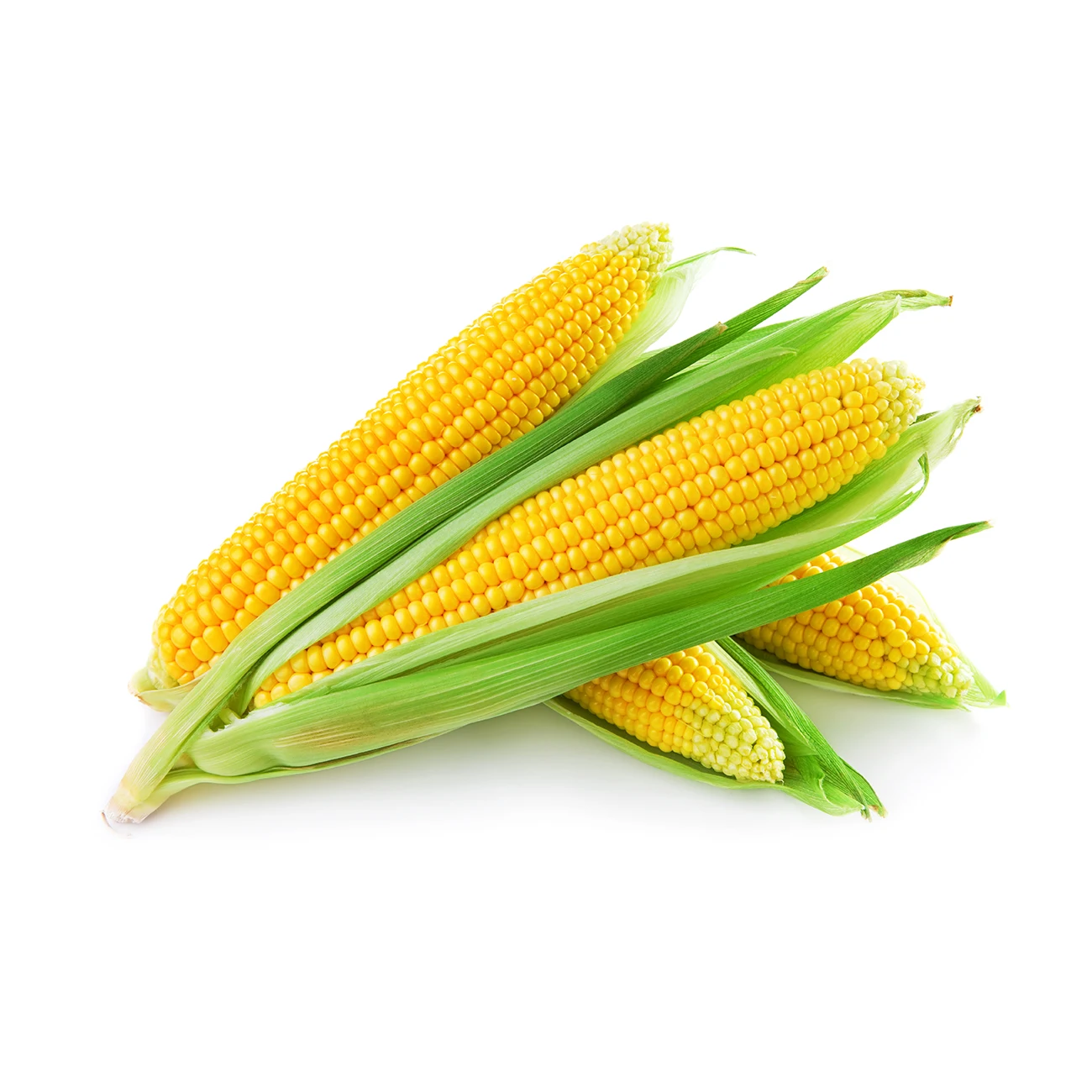 igh Quality Of Canned Sweet Corn 340g/tin Sweet Corn from USA Texas port  at discountable rate