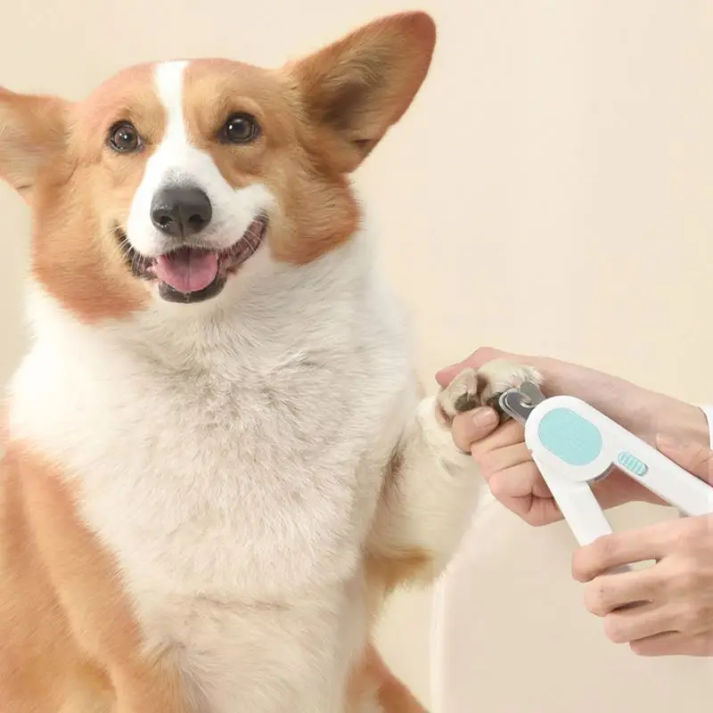 Commercial Professional Pet Grooming Tool, Led Pet Nail Scissors Cat Clippers Claw Trimmer