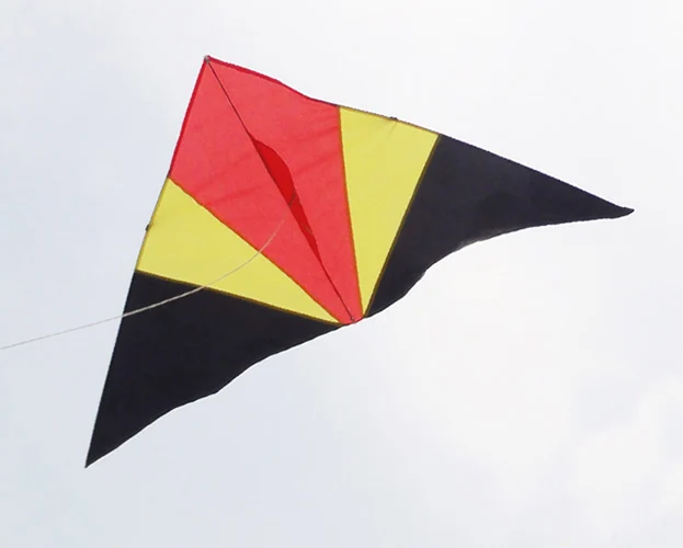 Plastic Triangle Kite For Adult