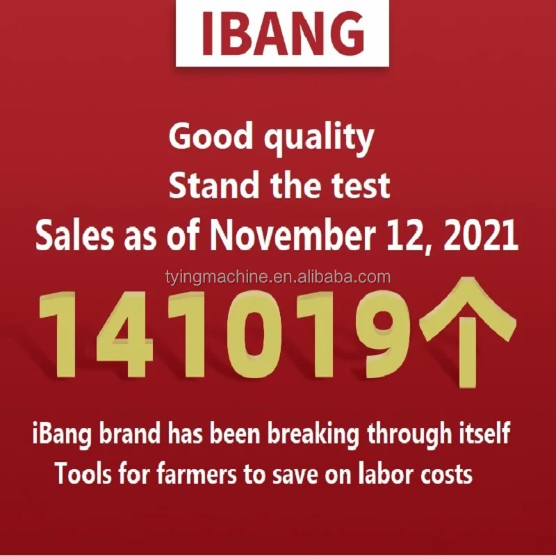 Бренд ibang машина для обвязки зеленых ветвей