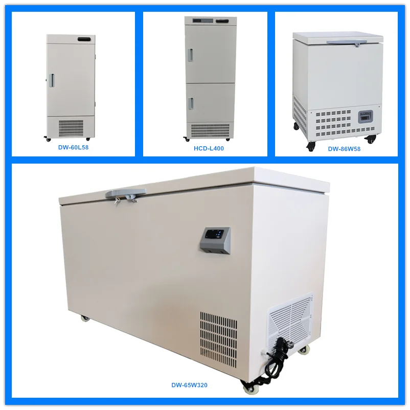 -50 degree ultra low temperature  chest Fish freezer  For Home Use
