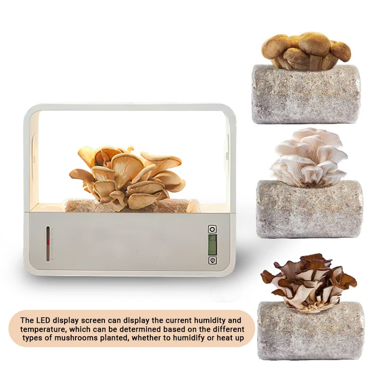 A+ quality Vertical Farming Cheap Full Kit Grow Plant Large Complete Mushroom growing Kit