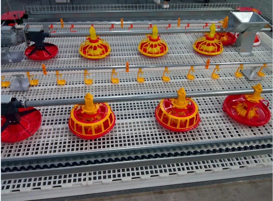 Full Auyomatic System Egg Layer Poultry House Design for Chicken Farm