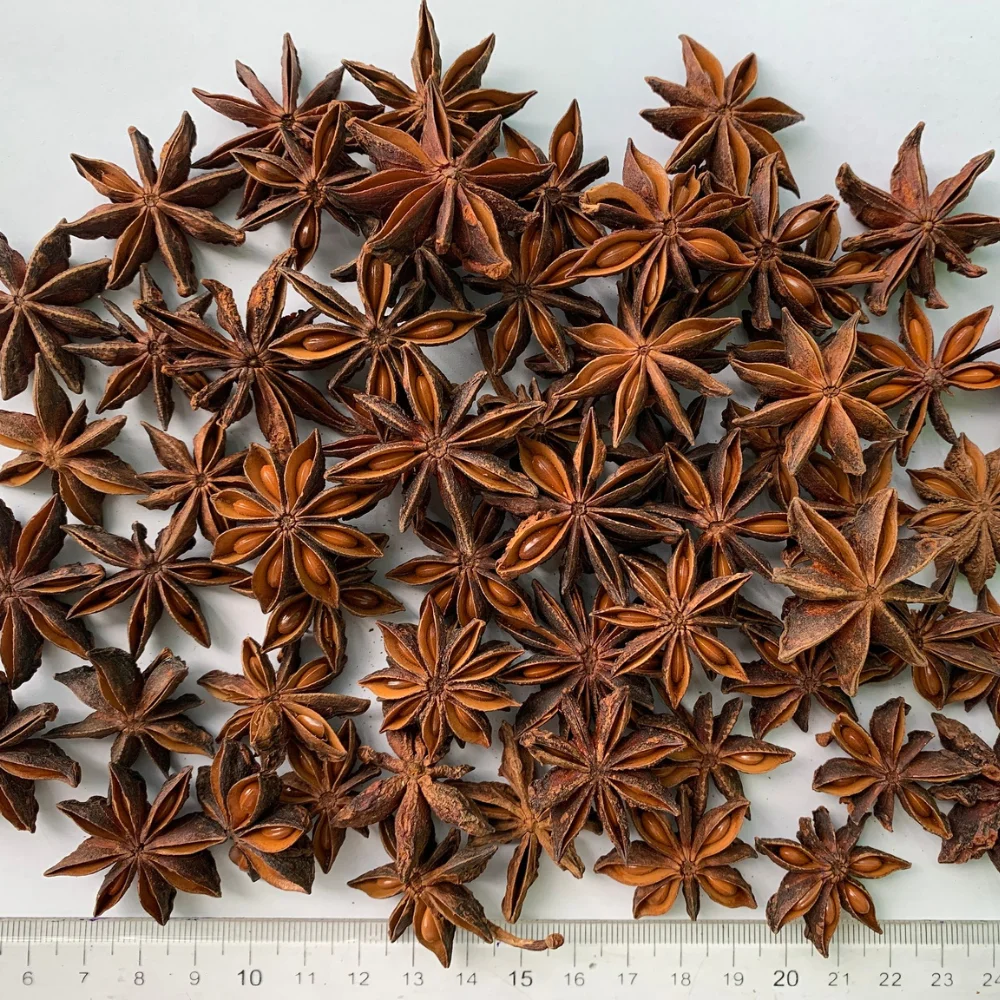 VIETNAMESE AUTUMN STAR ANISE MAIN CROP HOT SPICES AND HERBS LOW PRICE  HANFIMEX NATURAL FOREST ORIGIN HOT SELLER +84374074818