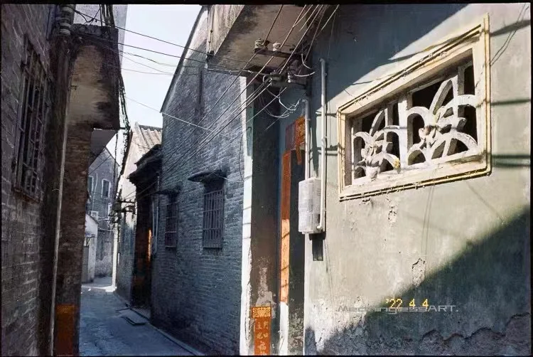 18 sheets of VIBE have been de-carbonized C41 film Reel ISO400 135 color film December 2025