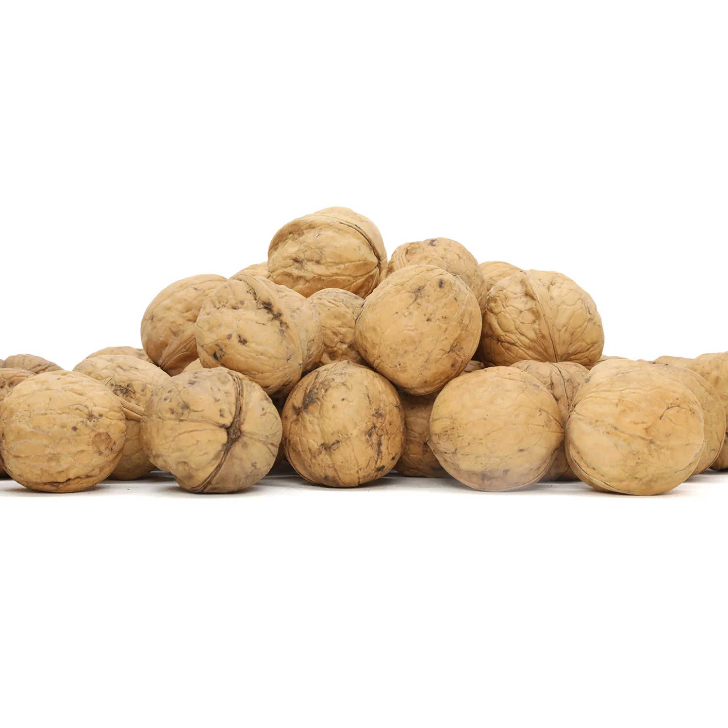North China walnut Noz nueces nueces de nogal Nuez Nuez nuez pecan