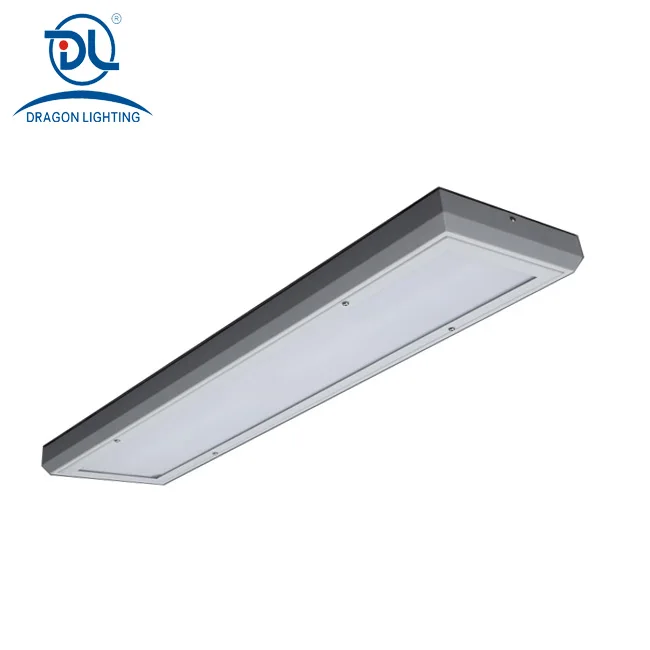 IK10 LED Lights Ceiling Lighting IP65 4000K LED prison-type light For Prison 40W
