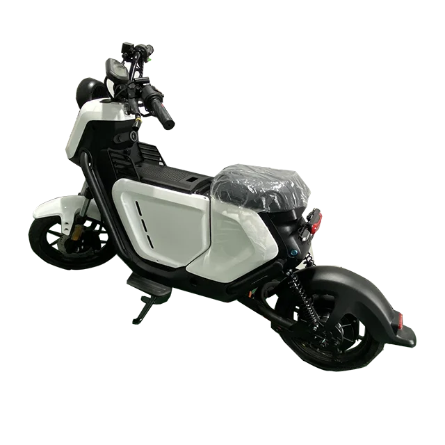 Most Fashionable Style  Hydrogen Fuel Cell Scooter 800W with Good Performance and Green Energy