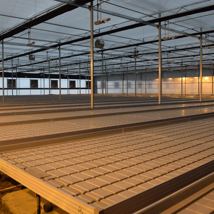 Large Commercial Hydroponic Farm System Ebb and Flow Rolling Table Top Benches Plastic Material for Agriculture Use