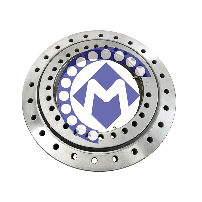 Customized Swivel Bearing RKS.160.14.0644 Cylindrical Roller Bearing For Ladle Turrets