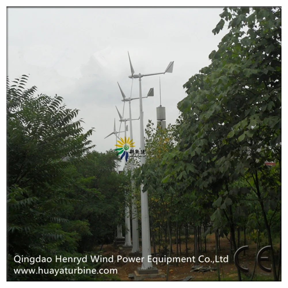 Home Windmill 3000W Wind Generator On Grid 230v 380v With MPPT Controller