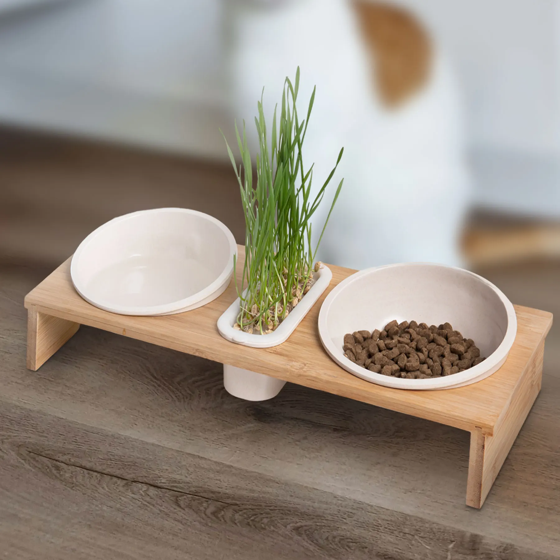 Pat Bowl Cat Grass Microgreens Growing Trays Bamboo Micro-greens Plant Germination Trays for Cat