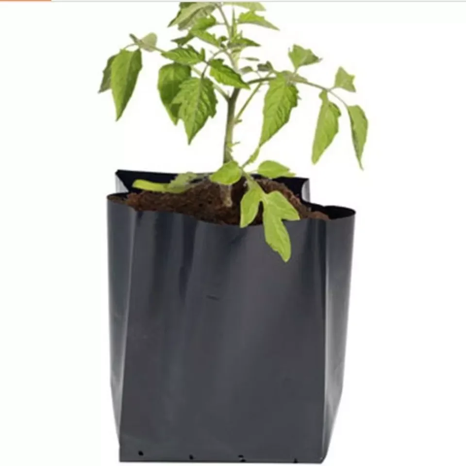 5 Gallon Anti-UV plastic nursery bag black open top poly grow bag for greenhouse planting